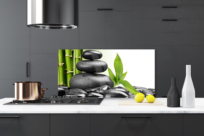 Kitchen Splashback Stones leaves art black green