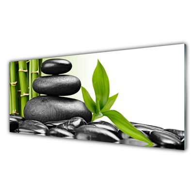 Kitchen Splashback Stones leaves art black green