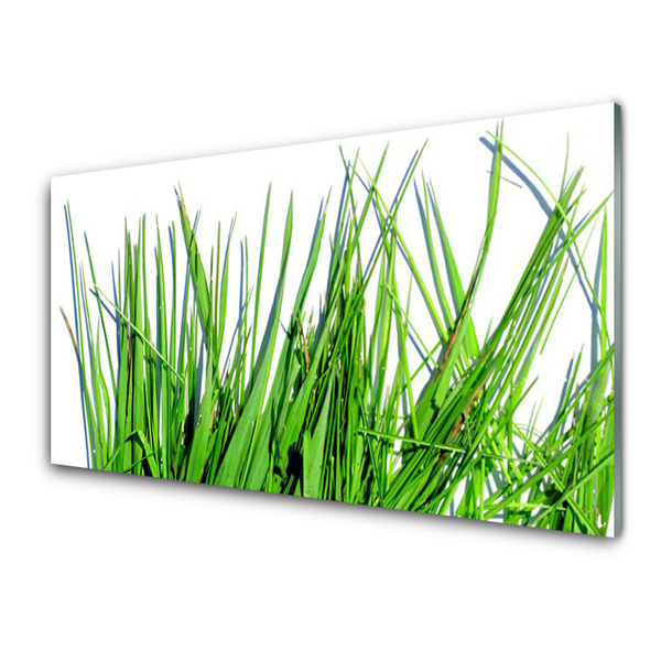 Kitchen Splashback Grass floral green