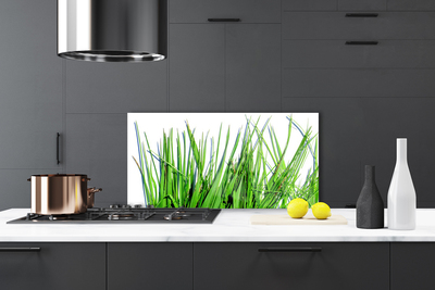 Kitchen Splashback Grass floral green