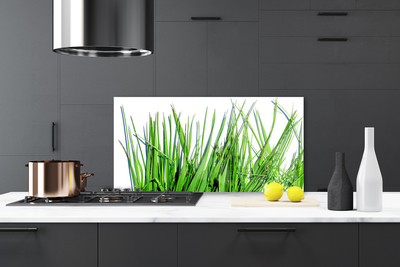 Kitchen Splashback Grass floral green