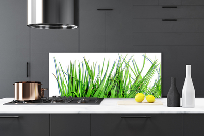 Kitchen Splashback Grass floral green