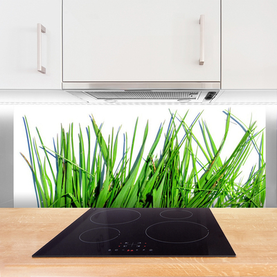 Kitchen Splashback Grass floral green