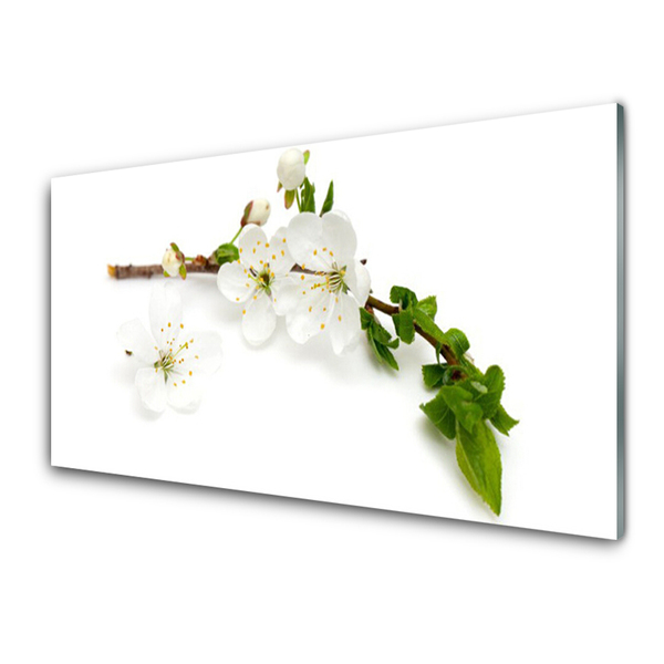 Kitchen Splashback Flower branch nature white brown green