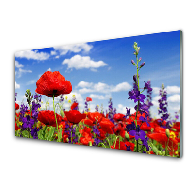 Kitchen Splashback Flowers nature red blue purple green