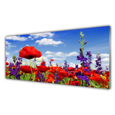 Kitchen Splashback Flowers nature red blue purple green