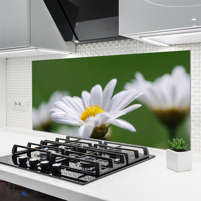 Kitchen Splashback Daisy floral white yellow green