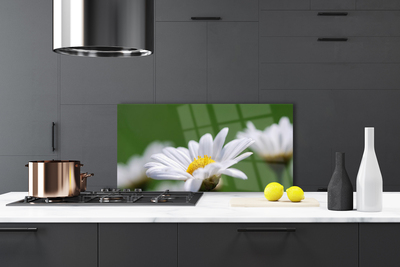 Kitchen Splashback Daisy floral white yellow green