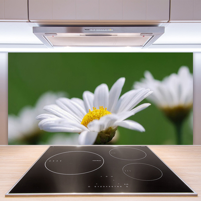 Kitchen Splashback Daisy floral white yellow green