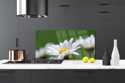 Kitchen Splashback Daisy floral white yellow green