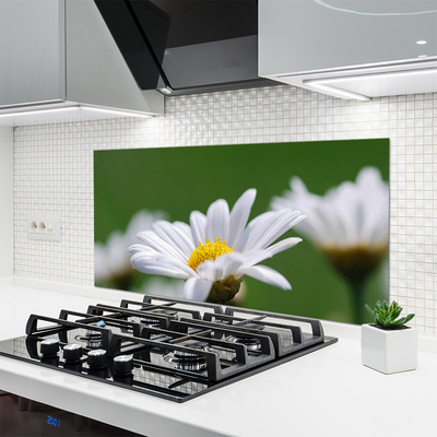 Kitchen Splashback Daisy floral white yellow green