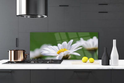 Kitchen Splashback Daisy floral white yellow green