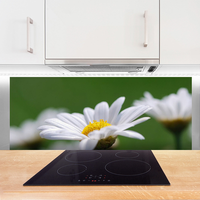 Kitchen Splashback Daisy floral white yellow green