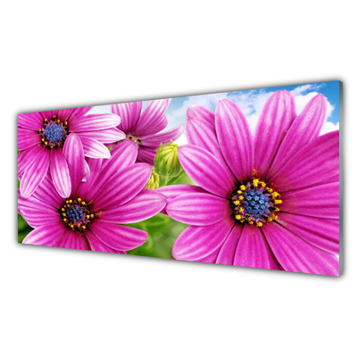 Kitchen Splashback Flowers floral pink yellow blue