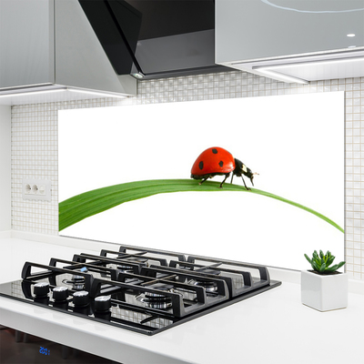 Kitchen Splashback Ladybug floral black red green