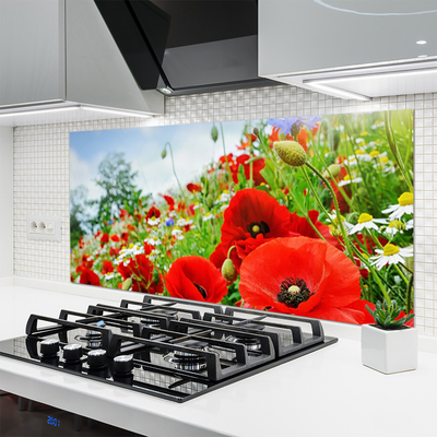 Kitchen Splashback Flowers nature red green