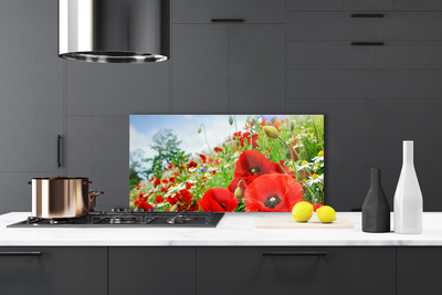 Kitchen Splashback Flowers nature red green