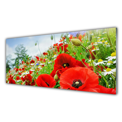 Kitchen Splashback Flowers nature red green