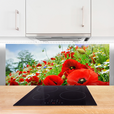 Kitchen Splashback Flowers nature red green