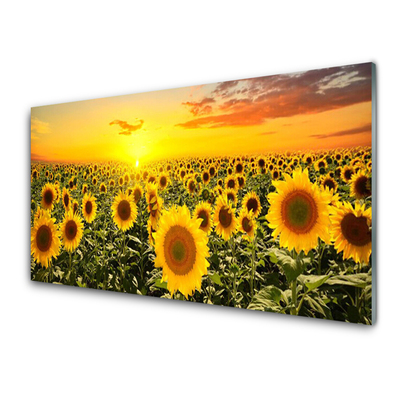 Kitchen Splashback Sunflowers floral yellow green