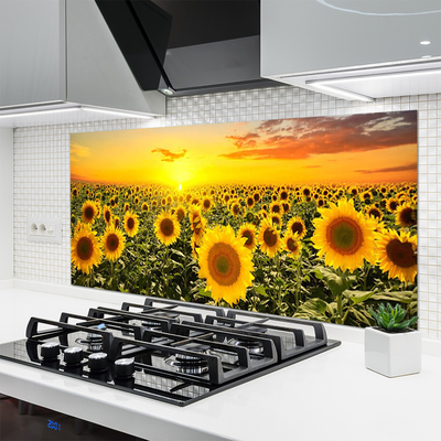 Kitchen Splashback Sunflowers floral yellow green