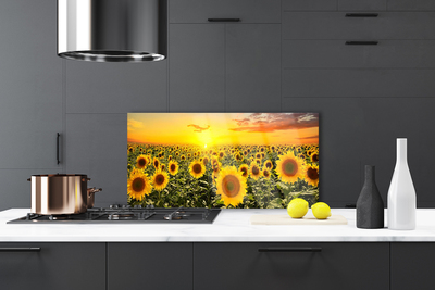 Kitchen Splashback Sunflowers floral yellow green