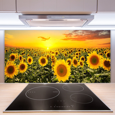 Kitchen Splashback Sunflowers floral yellow green