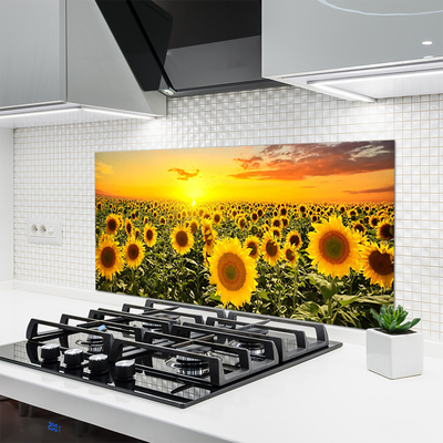 Kitchen Splashback Sunflowers floral yellow green