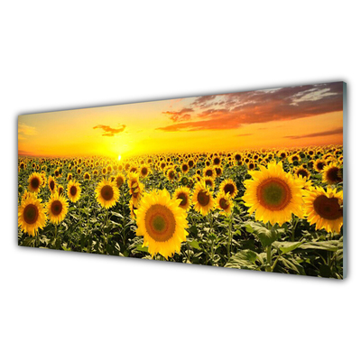 Kitchen Splashback Sunflowers floral yellow green