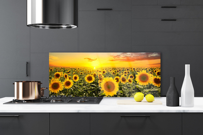 Kitchen Splashback Sunflowers floral yellow green