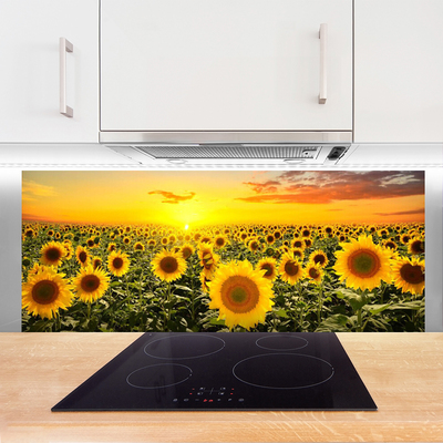 Kitchen Splashback Sunflowers floral yellow green