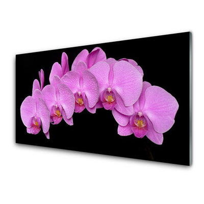 Kitchen Splashback Flowers floral pink black