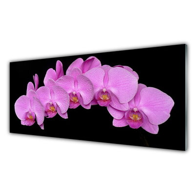 Kitchen Splashback Flowers floral pink black