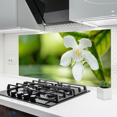 Kitchen Splashback Flower leaves floral white green