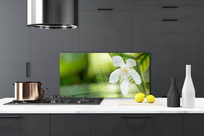 Kitchen Splashback Flower leaves floral white green