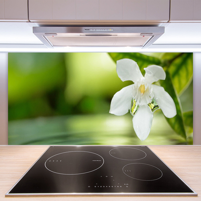 Kitchen Splashback Flower leaves floral white green