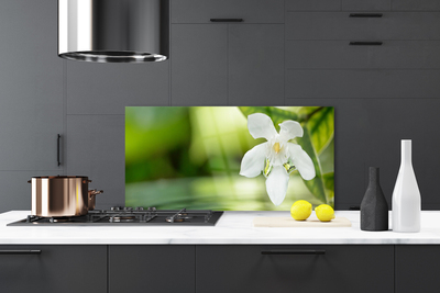 Kitchen Splashback Flower leaves floral white green