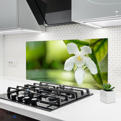 Kitchen Splashback Flower leaves floral white green