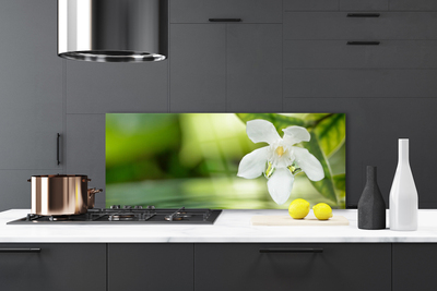 Kitchen Splashback Flower leaves floral white green