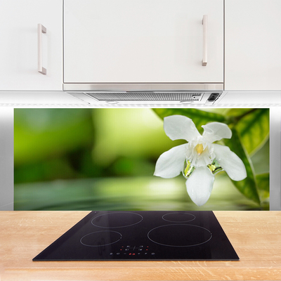 Kitchen Splashback Flower leaves floral white green