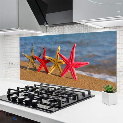 Kitchen Splashback Beach starfish art multi