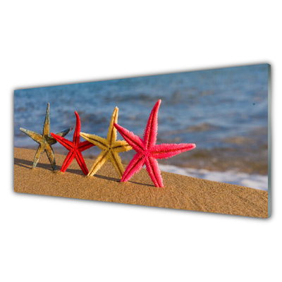 Kitchen Splashback Beach starfish art multi