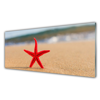 Kitchen Splashback Beach starfish art red