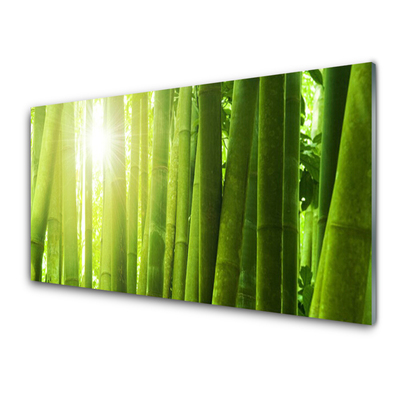 Kitchen Splashback Bamboo floral green