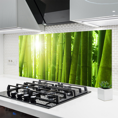 Kitchen Splashback Bamboo floral green