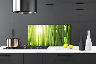 Kitchen Splashback Bamboo floral green