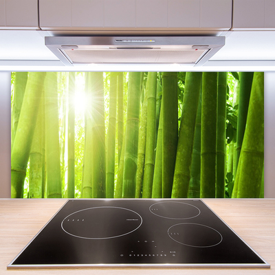 Kitchen Splashback Bamboo floral green