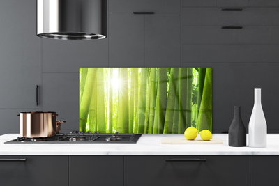 Kitchen Splashback Bamboo floral green