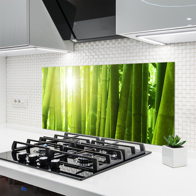 Kitchen Splashback Bamboo floral green