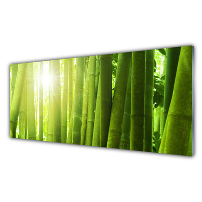 Kitchen Splashback Bamboo floral green